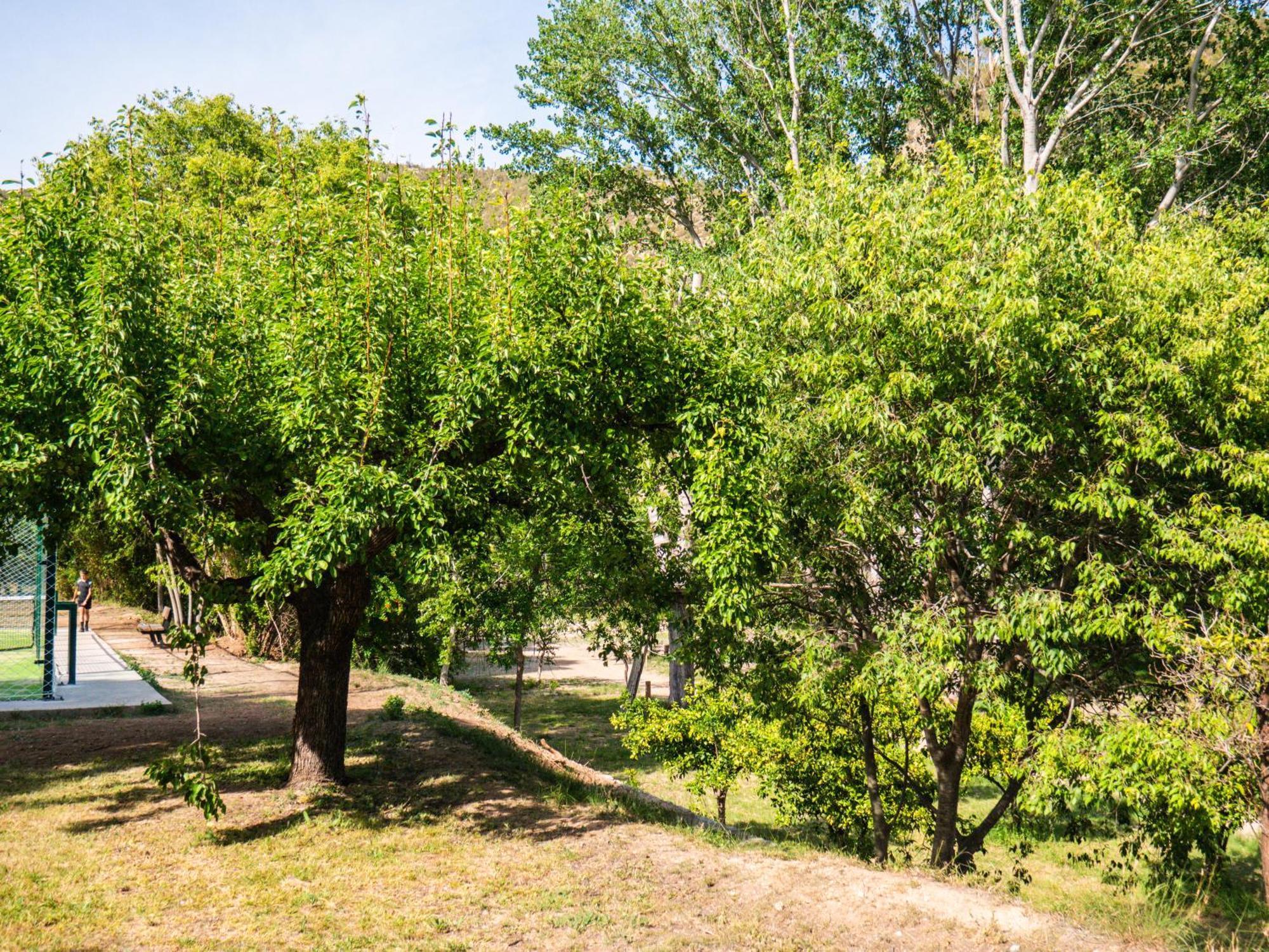 El Cerrao-Paunatura Hostel Sot de Chera Екстериор снимка